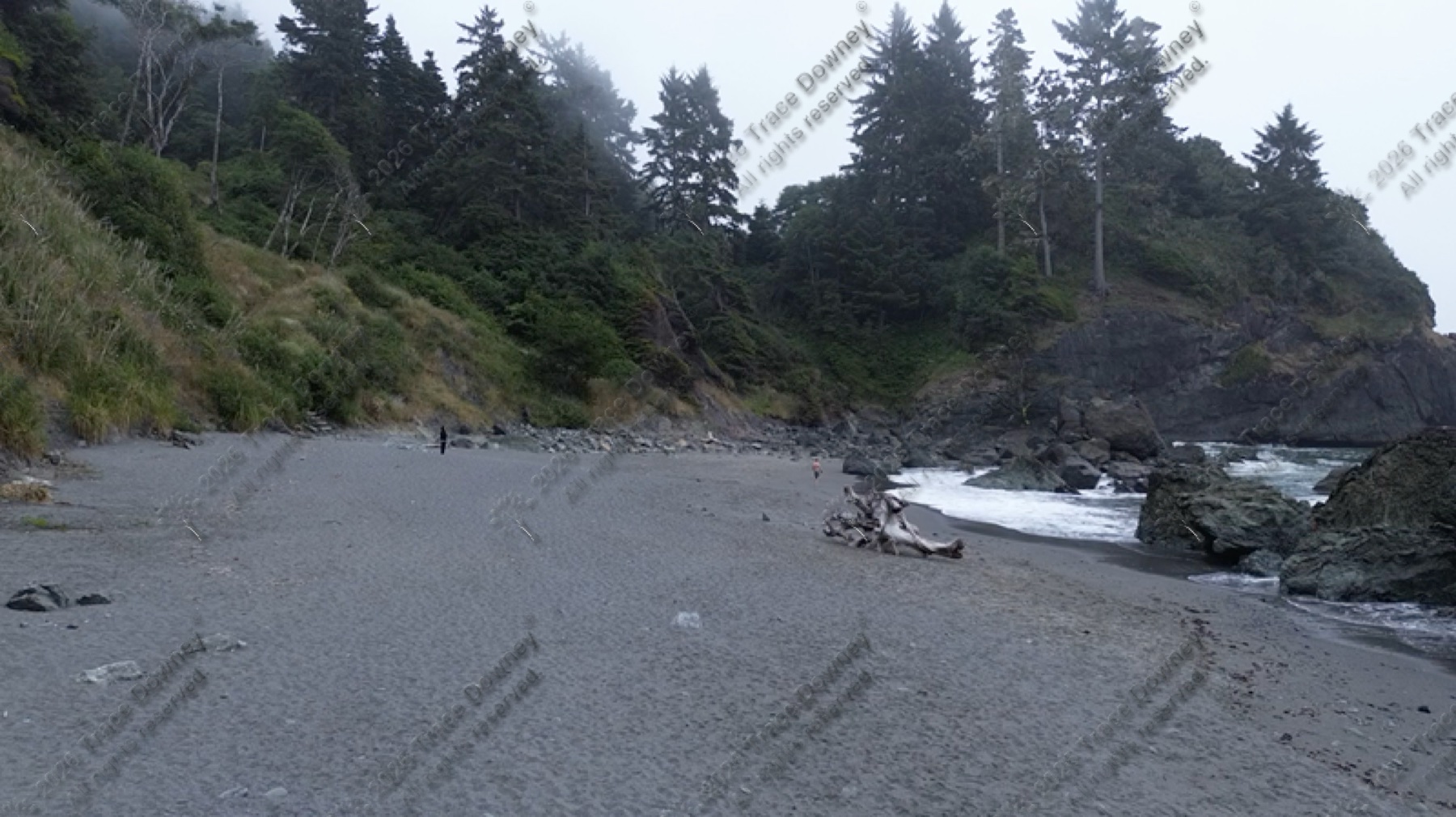 Raw drone still of a rocky beach and tree-lined bluff under coastal fog.