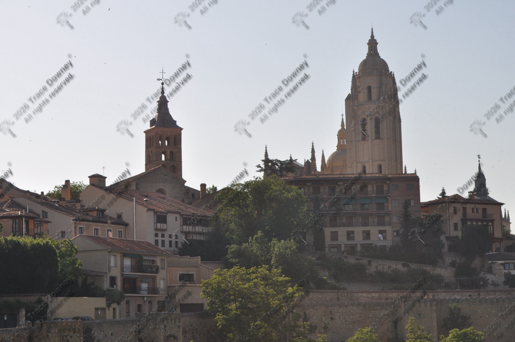 City silhouette with cathedral towers rising above trees and rooftops.