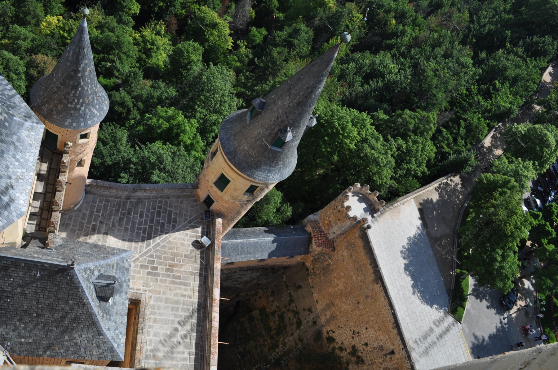 View from above showing towers and rooftops surrounded by trees.